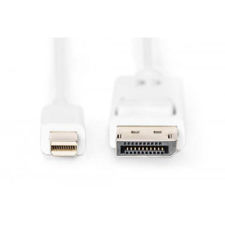 DisplayPort connection cable,
