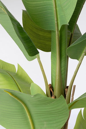 Pianta artificiale "Banano" con vaso nero, foglie in gomma, realistica