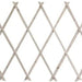 Traliccio Estensibile In Legno Naturale Chiaro Piante Rampicanti Giardino 180x60cm 222729