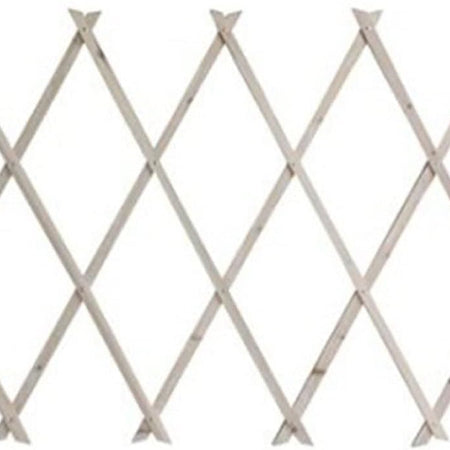 Traliccio Estensibile In Legno Naturale Chiaro Piante Rampicanti Giardino 200x100cm 222734