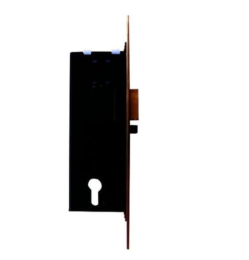 CISA - 12016-60 ELETTROSERRATURA DA INFILARE A CILINDRO ENTRATA mm.60 per porte legno - scrocco reversibile elettrificato e catenaccio con ritorno automatico - tensione 12V ca CE - 2 mandate