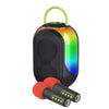 Altoparlante Karaoke Bluetooth Wireless Portatile Con Microfoni Effetti Luce Rgb Q-yx133