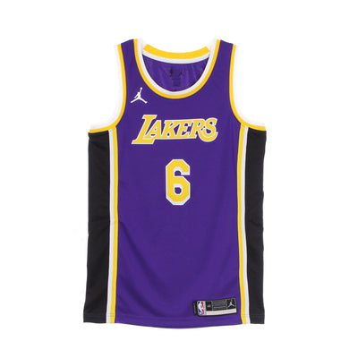 JORDAN NBA Canotta Basket Uomo Nba Swingman Jersey Statement Edition 2020 No 6 Lebron James Loslak Field Purple da uomo