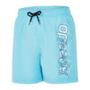Speedo Graphic Leisure 15'' Watershort Boy Turchese
