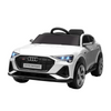 Audi ETRON 12V Toys Group