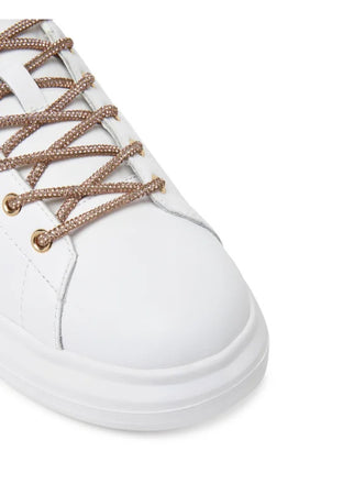 JUST CAVALLI Sneakers FONDO URSA DIS. D05 da donna