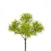Ramo verde  artificiale Tillandsia Bell per decorazioni floreali H 30