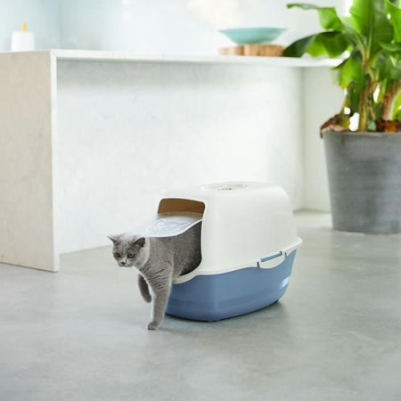 Toilette - Blu e bianco (PP riciclato) - 56 x 40 x 39 cm