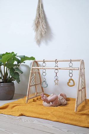 BIBS Loops 12 PZ Haze/Meadow/Blossom