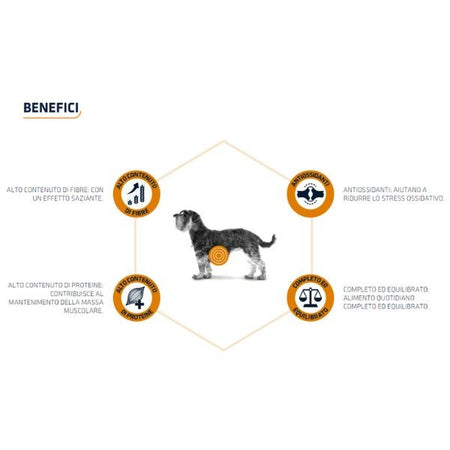 Advance Vet Diets Weight Balance mangime secco Cani Mini 1,5 kg