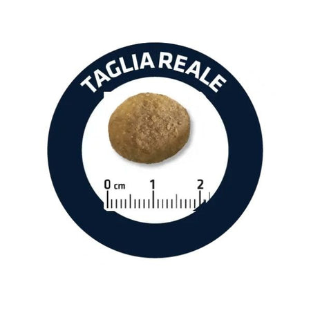 Advance Vet Diets Weight Balance secco Cani Medium Maxi