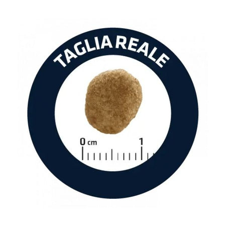 Advance Vet Diets Weight Balance secco Gatti 1,5 kg