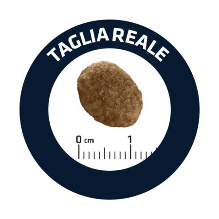 Advance Vet Diets Urinary secco Gatti