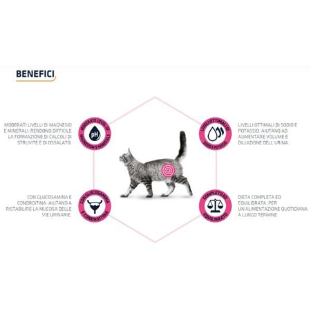 Advance Vet Diets Urinary secco Gatti