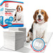 RMOVE - 1CNF/40PZ - Tappetini Igienici Animali Con Adesivi 60X90cm