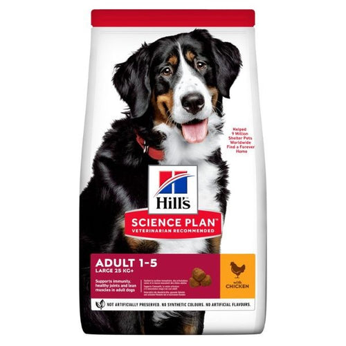 Hill's Mantenimento secco Cani Adulti Large pollo