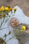 BIBS De Lux Ciuccio Misura 2 (6-18 mesi), Honey Bee / Olive