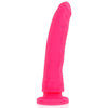 Dildo in silicone a ventosa Delta Club Toys 20cm