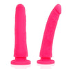Dildo in silicone a ventosa Delta Club Toys 20cm