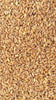 25-Kg-Grano-duro-da-macina-prepulito-(siciliano)-MOLINO-ZAPPALA'