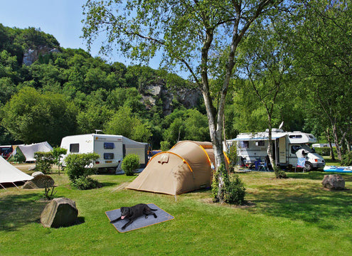 Coperta leggera per cani insetto repellente Bodyguard Dog