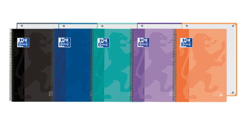 Oxford School Classic Europeanbook 1 - Copertina in plastica A4+ - 5x5 - 80 fogli