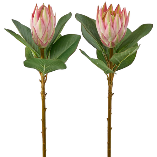 Fiore artificiale Protea effetto realistico con stelo e foglie verdi da  h 50 cm