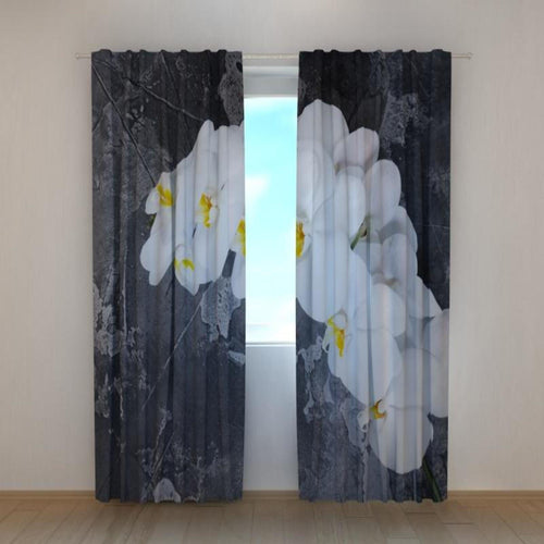 Foto Tende Orchidee Fresche su una Pietra