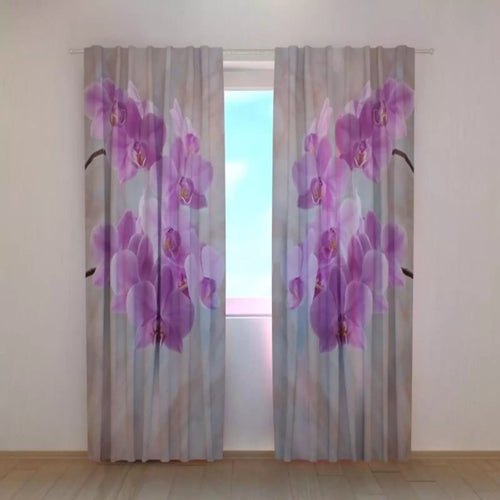 Foto Tende Colibrì con Orchidee 2