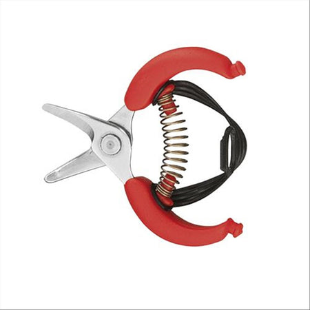 Forbici cogliagrumi cm10 l.curva