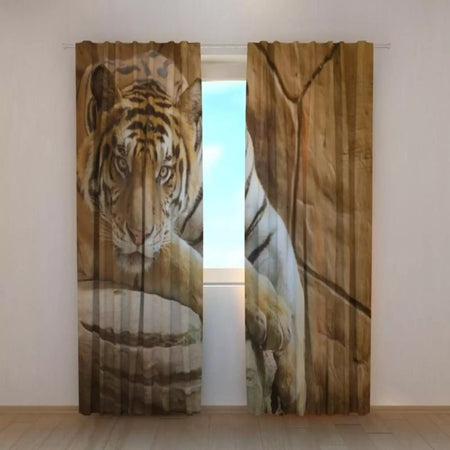 Foto Tende Tigre su una Roccia