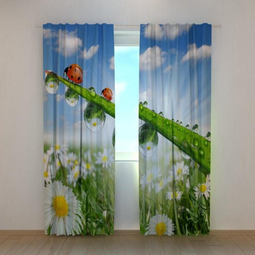 Foto Tende Coccinelle sulle Camomille