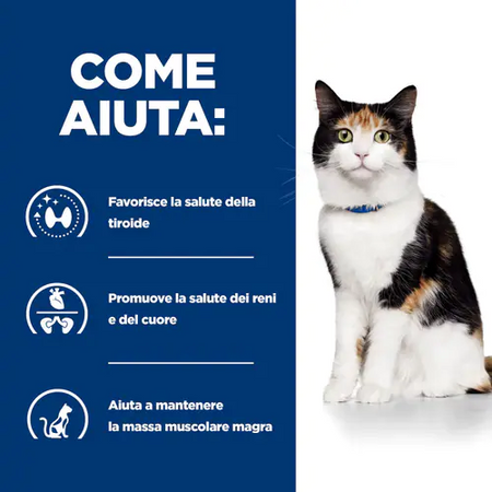 Hill's Prescription Diet Y/D Thyroid Care umido Gatti Adulti pollo 156 gr