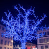 Luci di natale 20 m catena Maxi led professionale per interno ed esterno Ø 7 mm