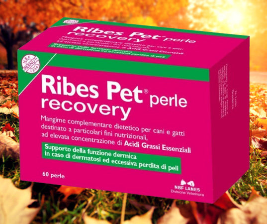 Ribes Pet Recovery 60 perle