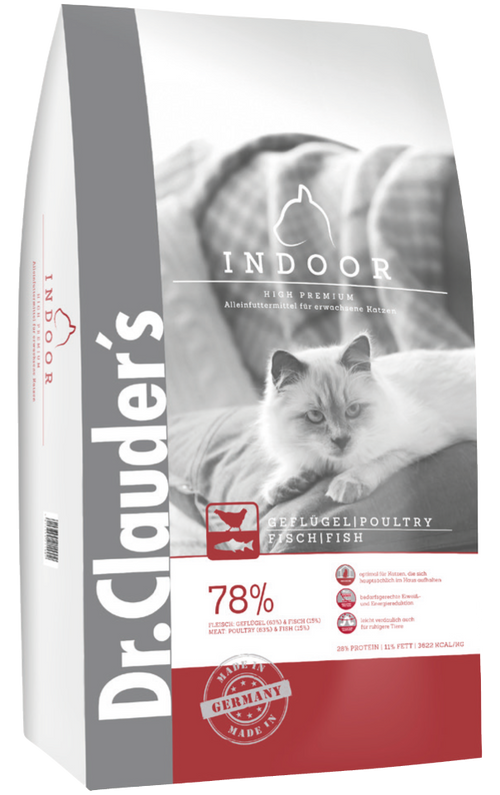 High Premium Adult Indoor gatto