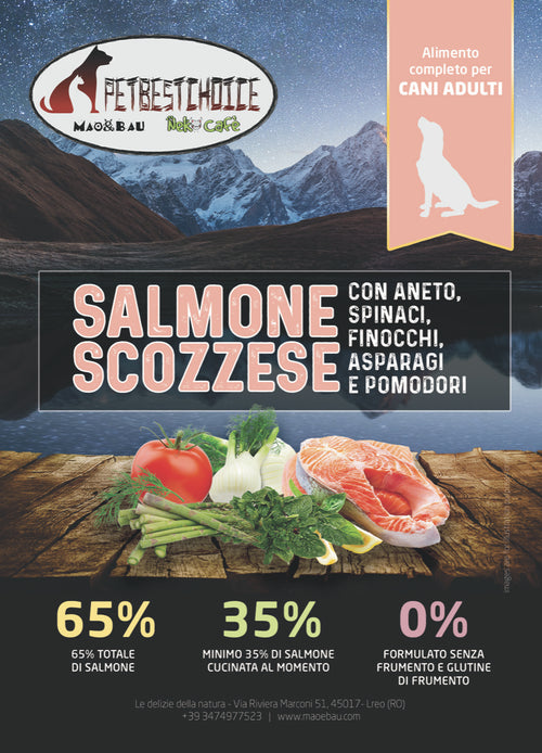 PETBESTCHOICE ADULT SALMONE & 5 SUPERFOOD 65% TOTALE DI INGRE