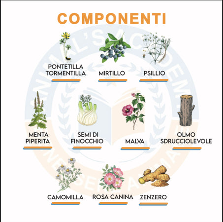 BioIntestinal - Efficace x problemi Gastrointestinali