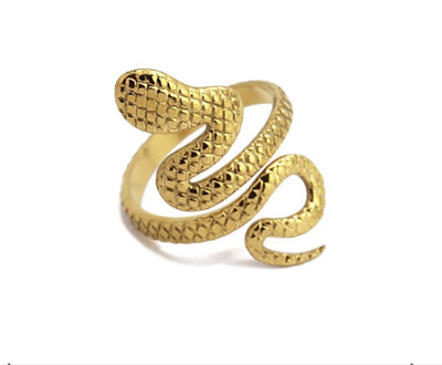 Anartxy - Anello serpente