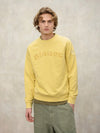 Felpa Uomo Blauer Camp 26SBLUF03242 girocollo con stampa floc – Giallo