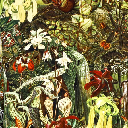 OCTOPUS Felpa Cappuccio Uomo Nepenthes Hoodie Army da uomo