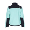 THE NORTH FACE Giubbotto Pile Uomo Denali Jacket Wasabi da uomo
