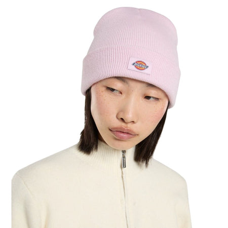Dickies cappelo baine rosa Gibsland unisex DK0A4X7KK73