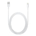 APPLE CAVO LIGHTNING / USB - 2 MT (MD819ZM/A)
