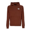 THE NORTH FACE Felpa Cappuccio Uomo Raglan Red Box Hd Dark Oak da uomo