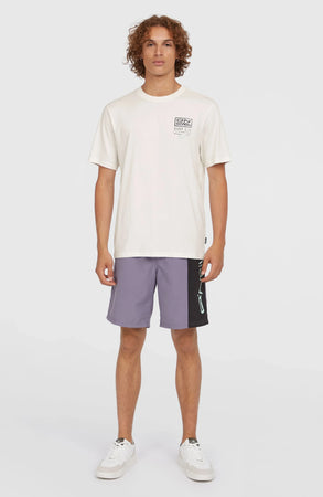 T-shirt O'Neill Original Retro Graphic