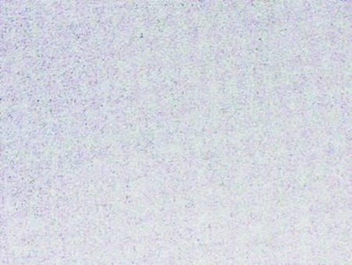 PLASTICA ADESIVA TRASPARENTE OPACO (280-2528) cm.45h. i 15 MT FER 115537