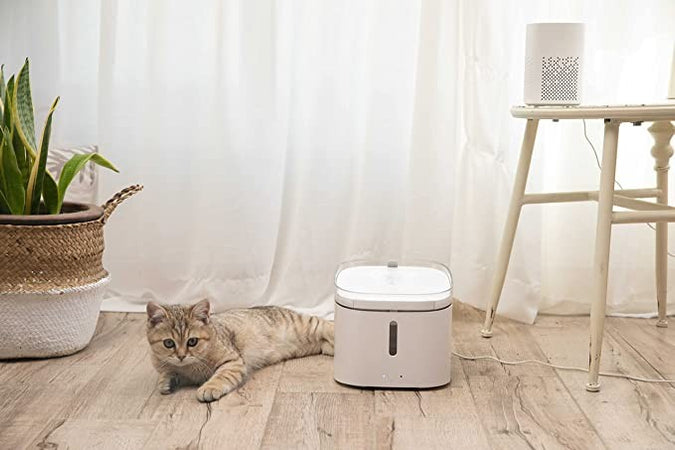 Fontana per gatti smart Xiaomi