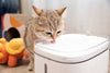 Fontana per gatti smart Xiaomi