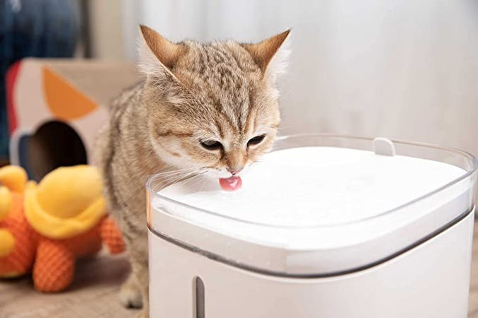 Fontana per gatti smart Xiaomi